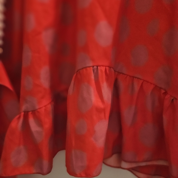 Red Polka Dot Blouse - Picture 5 of 8